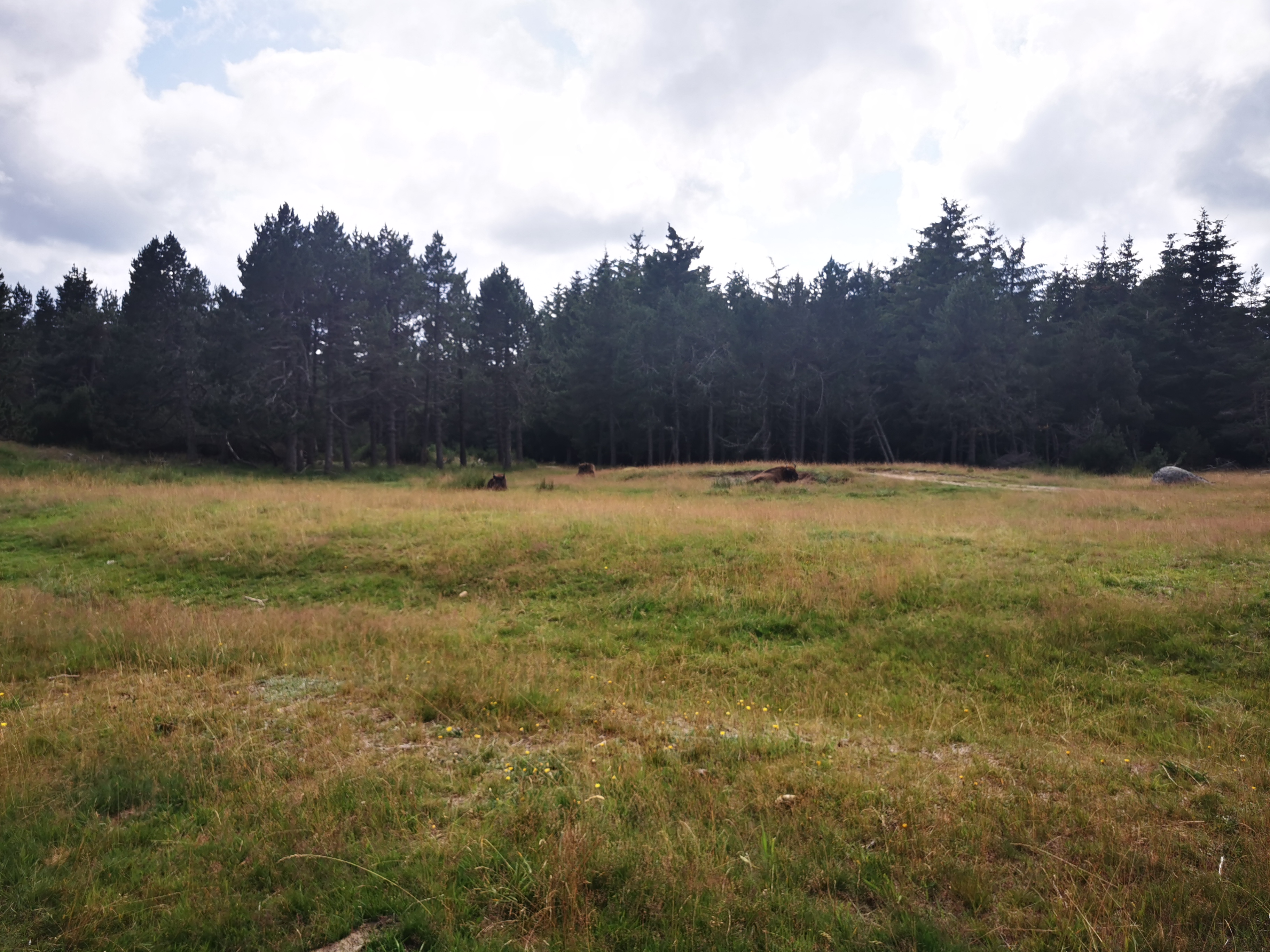 Photo n° 1 de l'avis de Jean-Philippe.o fait le 30/07/2021 à 17:10