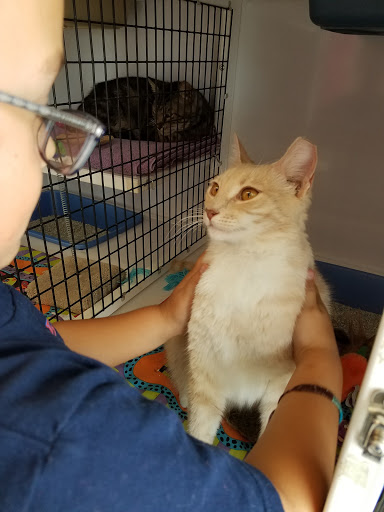 Pet Supply Store «Pet Supplies Plus», reviews and photos, 1258 Northlake Blvd, Lake Park, FL 33403, USA