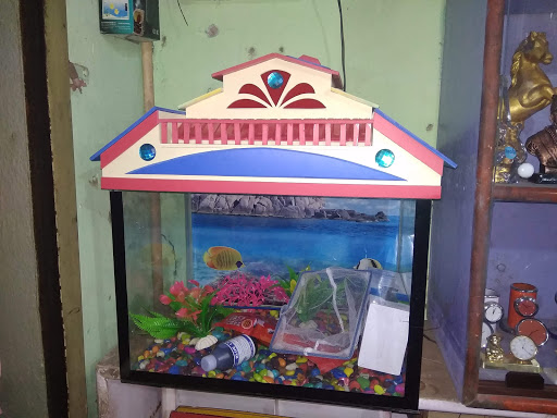 Tanishk Fish Tank