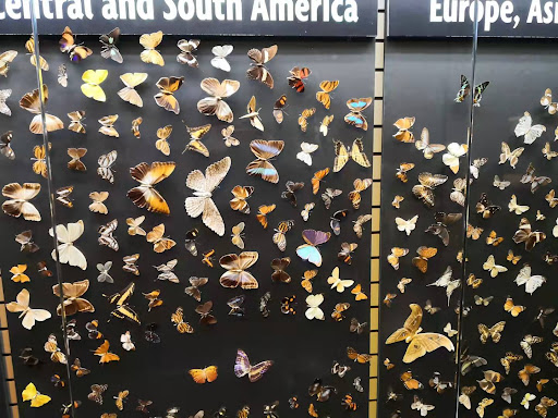 Science Museum «MOST Syracuse (Museum of Science & Technology)», reviews and photos, 500 S Franklin St, Syracuse, NY 13202, USA