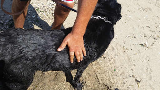 Park «Henry Hudson Trail / Popamora Point», reviews and photos, Shore Dr, Atlantic Highlands, NJ 07716, USA