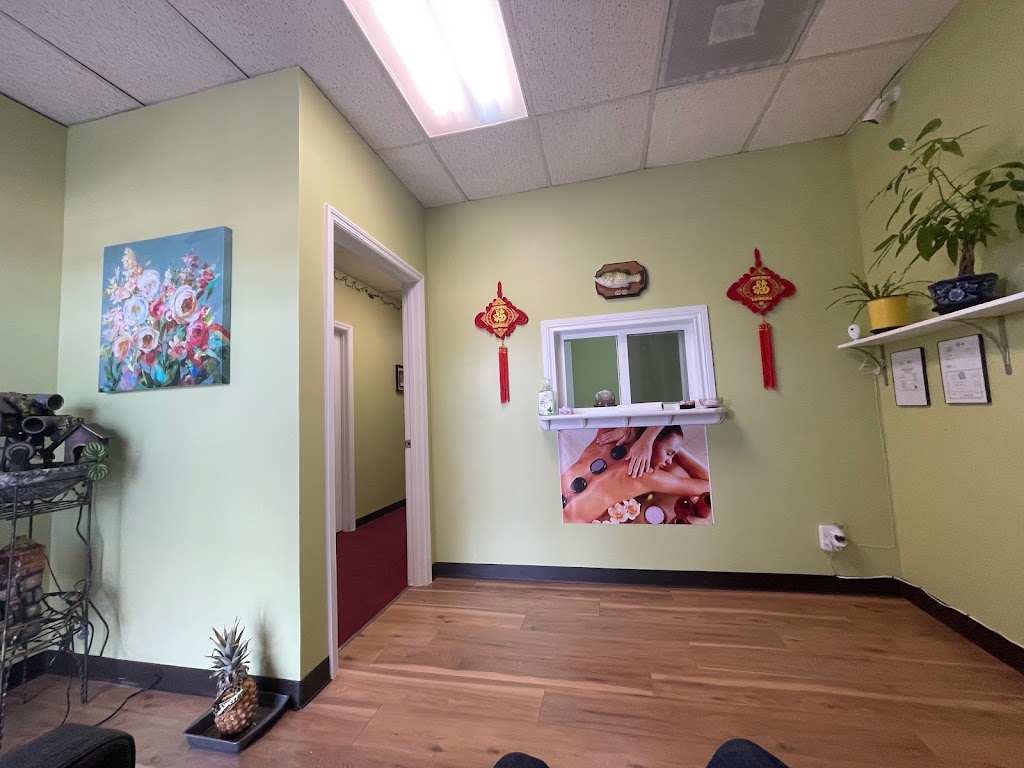 Orchid Massage Spa 78221