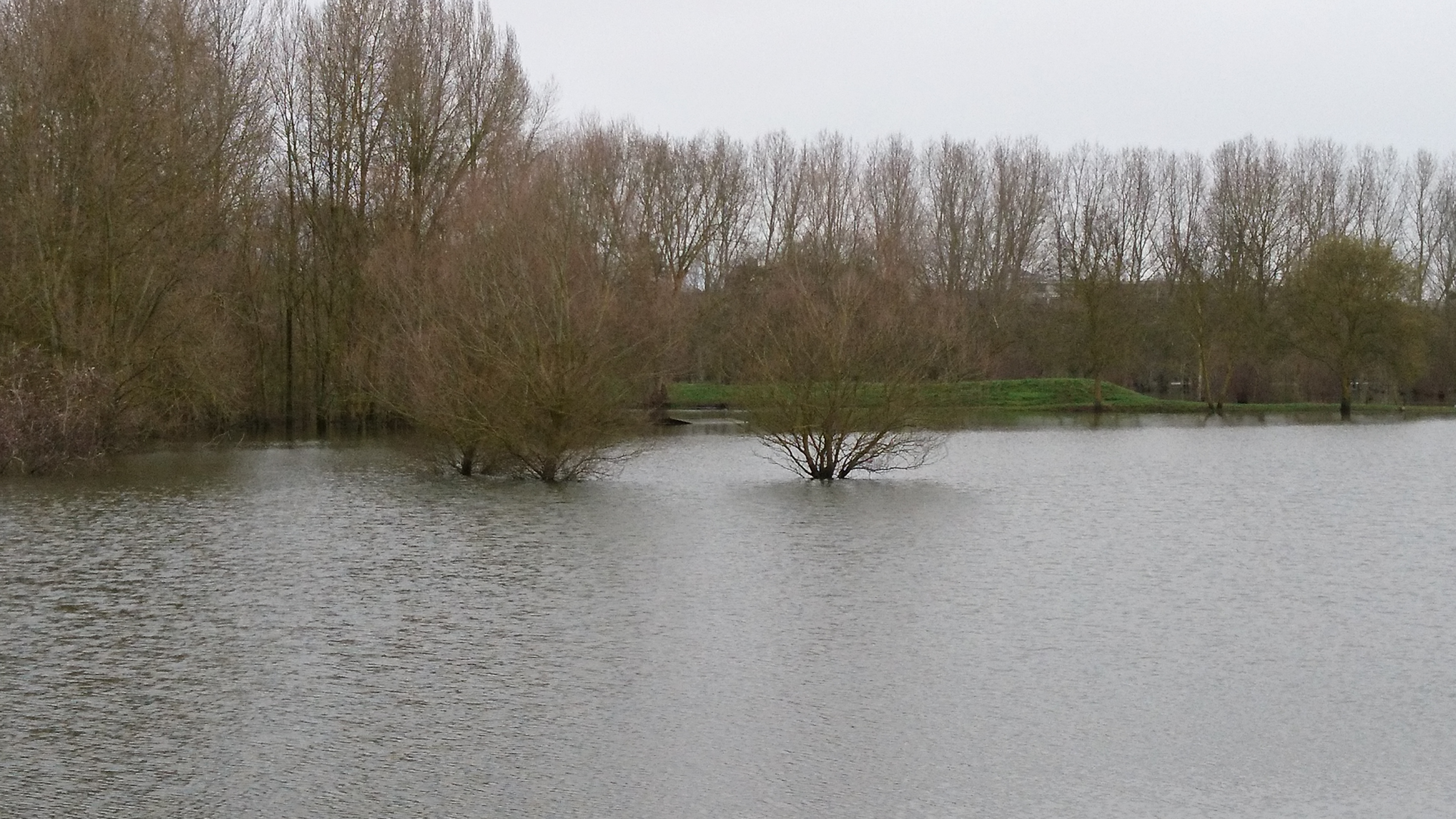 Photo n° 2 de l'avis de Jean.a fait le 30/01/2018 à 11:20
