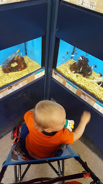 Petco - Photo 7 - Car repair in Corpus Christi, TX, Corpus Christi