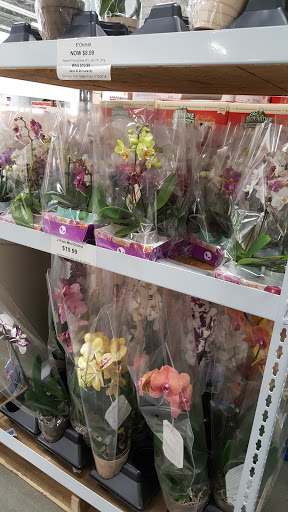 Warehouse club «BJ’s Wholesale Club», reviews and photos, 711 Stewart Ave, Garden City, NY 11530, USA