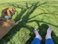 Achieve Homeostasis - Photo 6 - Car repair in Murfreesboro, TN, Murfreesboro