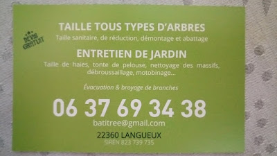 Bati tree élagage à Langueux