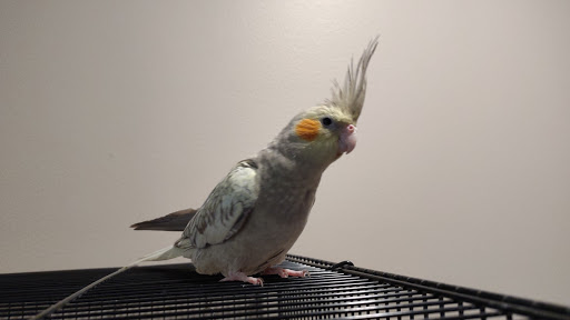 13600 Co Rd 11, Burnsville, MN 55337, USA