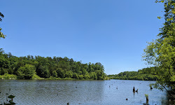 Lake Mercer