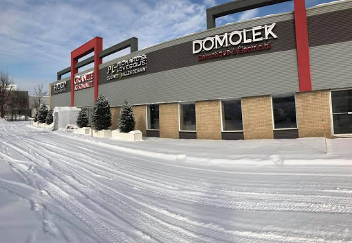 Domolek Inc