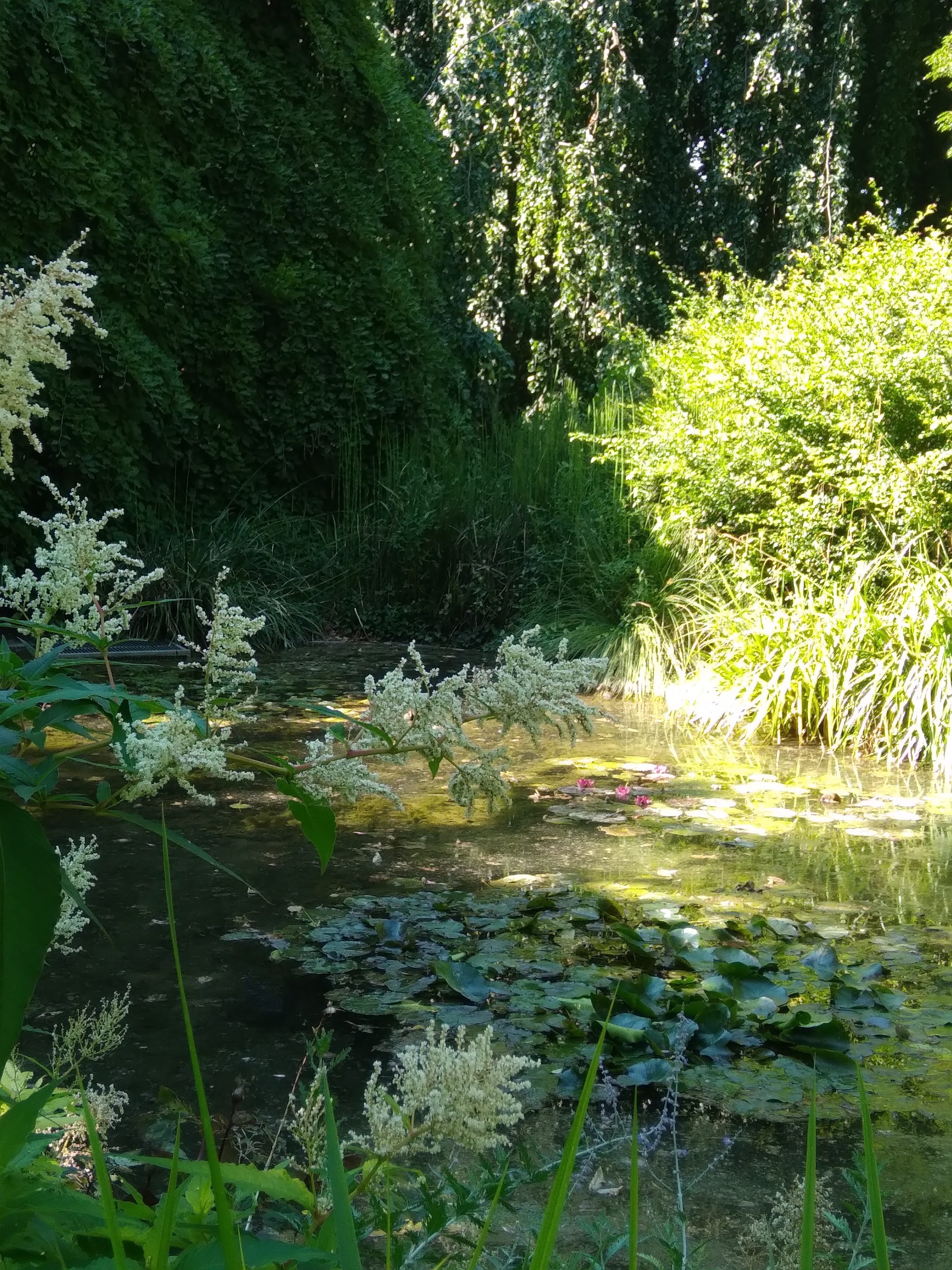 Photo n° 2 de l'avis de Cathy.r fait le 03/06/2018 à 16:40