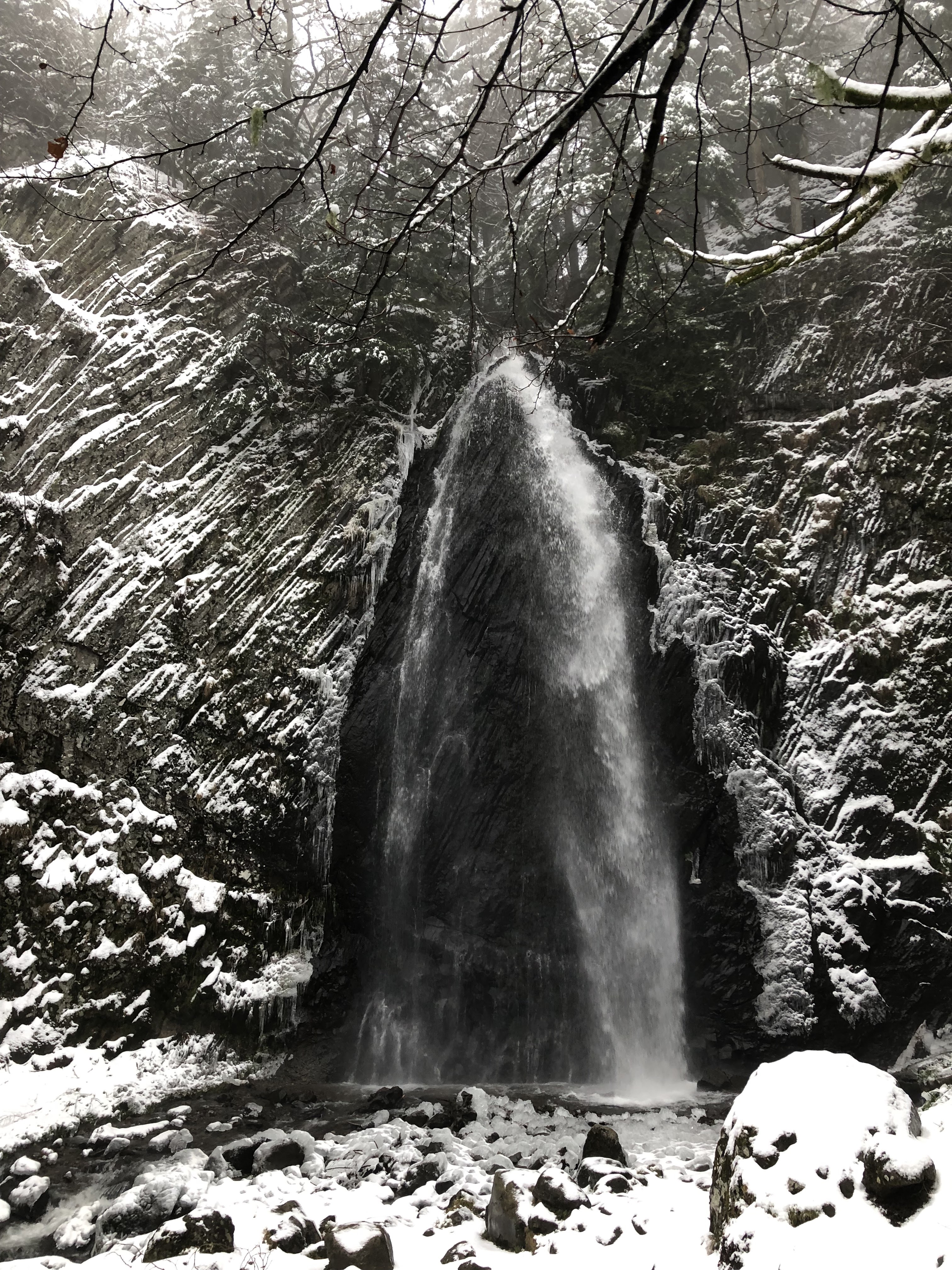 Photo n° 3 de l'avis de Romain.u fait le 12/01/2022 à 20:27