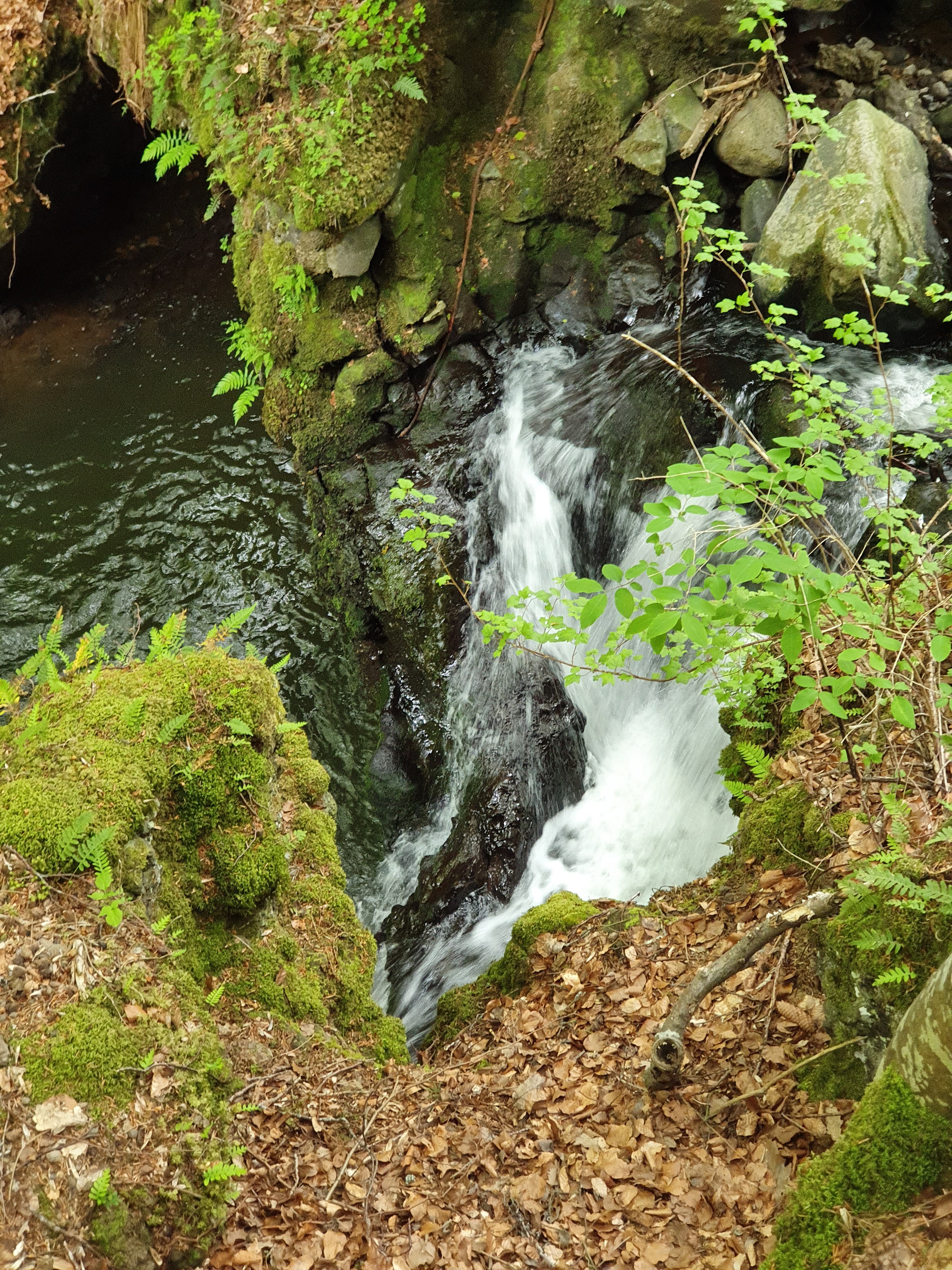 Photo n° 2 de l'avis de Emma.i fait le 26/05/2019 à 14:38