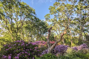 Playfair Park image