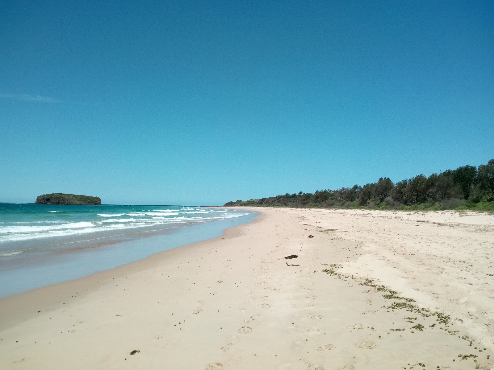 Photo de Minnamurra Beach situé dans une zone naturelle