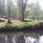 Photo n°5 de l'avis de Marina.e fait le 18/06/2023 à 18:59 sur le  Café Venedig à Lübbenau