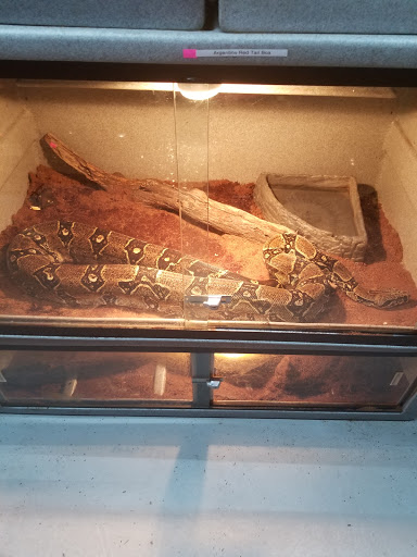 Pet Store «CUSTOM CREATURES PET SHOP», reviews and photos, 10727 N 19th Ave, Phoenix, AZ 85029, USA