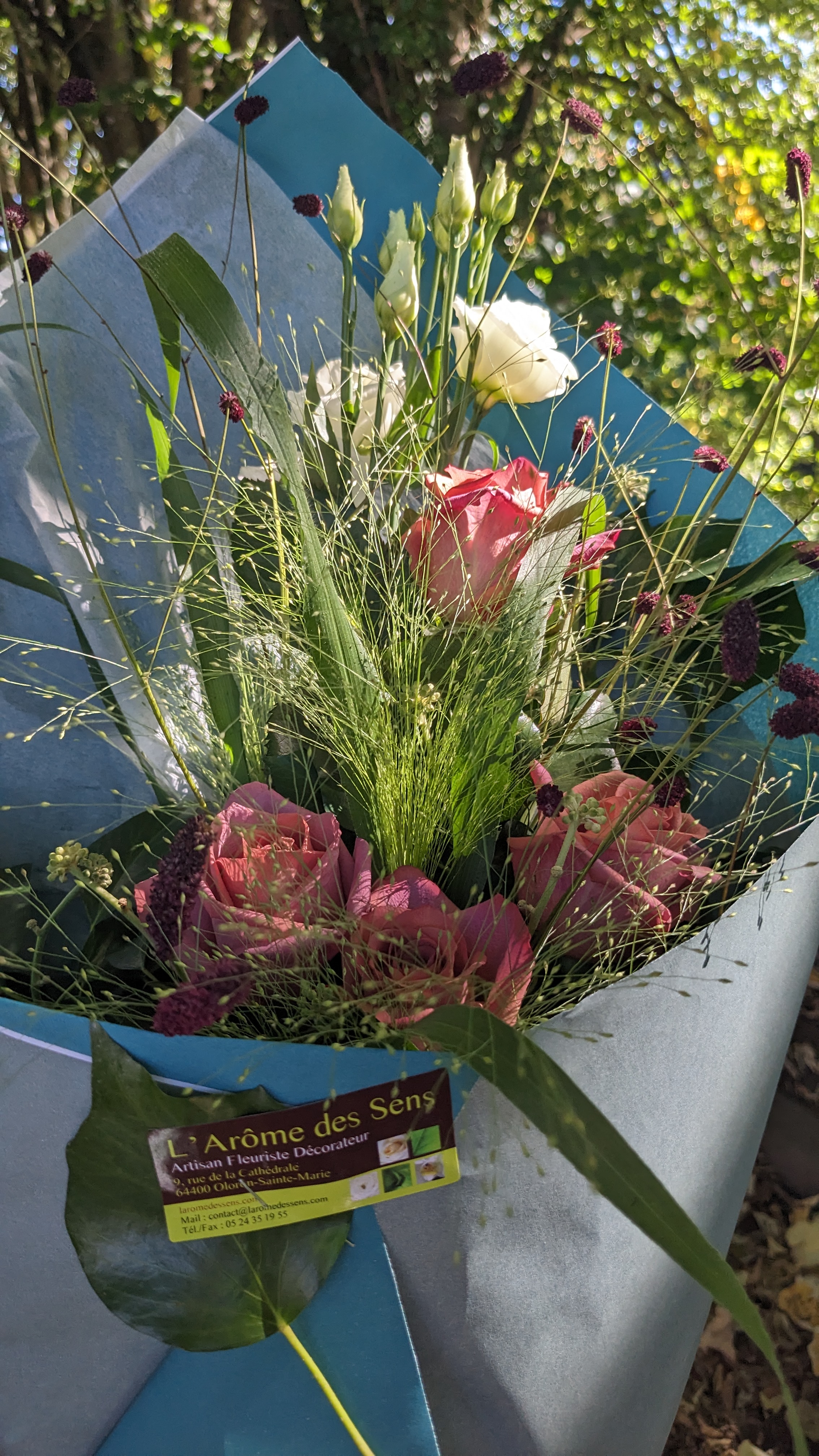 Photo n° 1 de l'avis de Esthel. fait le 08/08/2023 à 16:03