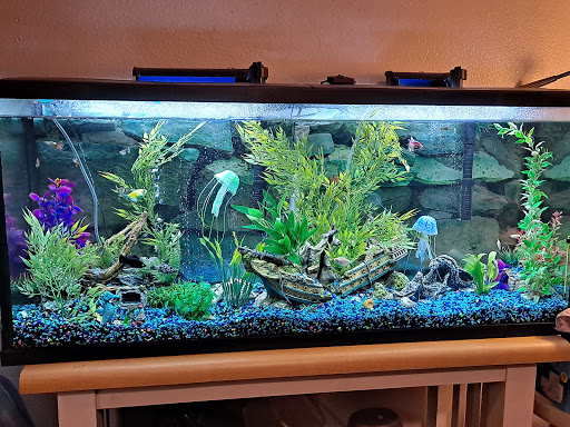 Pet Supply Store «PetSmart», reviews and photos, 1733 S Stapley Dr, Mesa, AZ 85204, USA