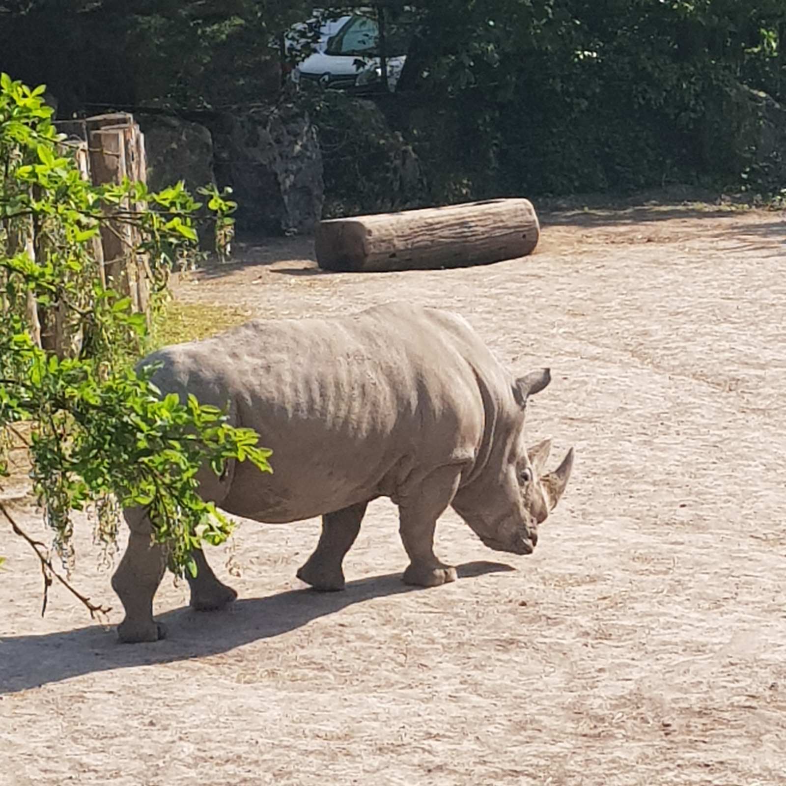 Photo n° 2 de l'avis de EG7. fait le 29/05/2023 à 10:08