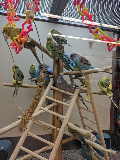 Pet Supply Store «Petco Animal Supplies», reviews and photos, 201 Union St, Waterbury, CT 06706, USA