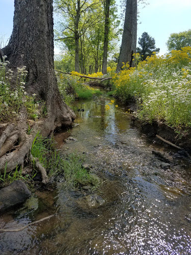 Private Golf Course «Nashville Golf & Athletic Club», reviews and photos, 1703 Crockett Springs Trail, Brentwood, TN 37027, USA