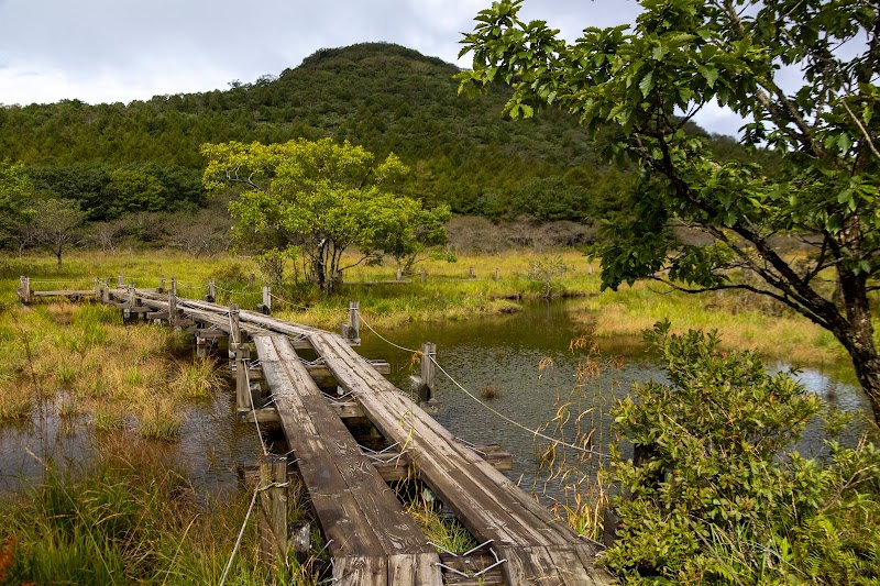 沼原湿原