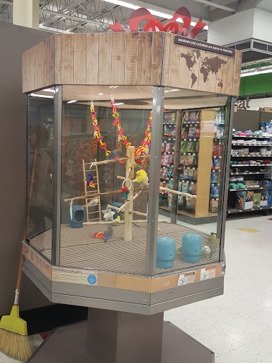 Pet Supply Store «Petco Animal Supplies», reviews and photos, 189 Old Country Rd, Carle Place, NY 11514, USA