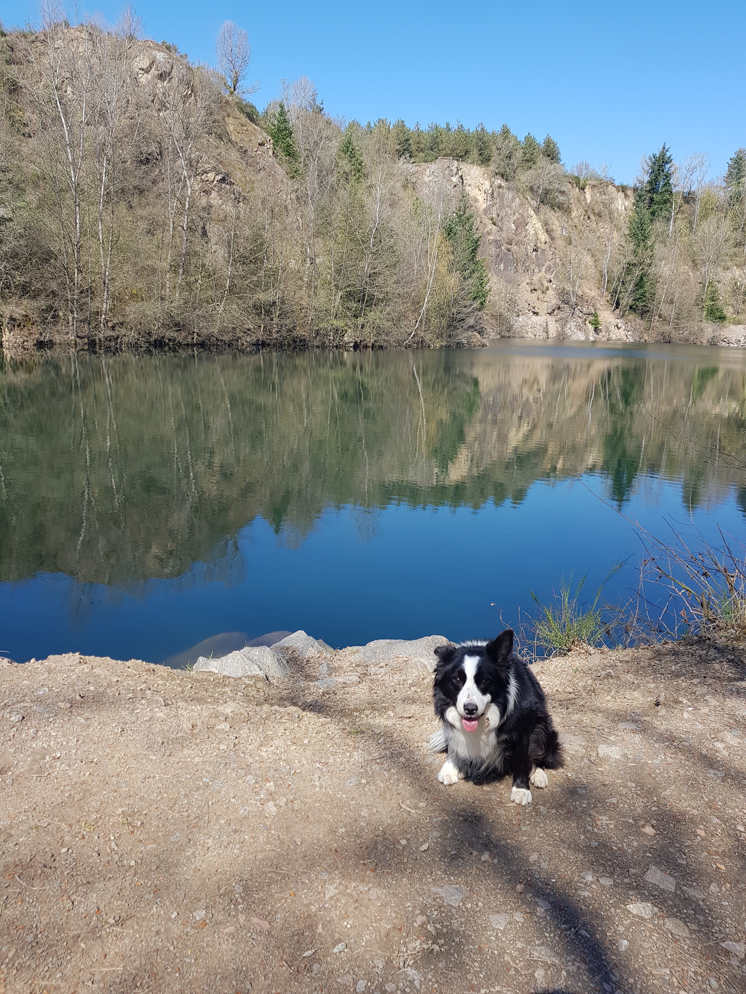 Photo n° 2 de l'avis de Jolanda.l fait le 10/04/2022 à 21:07