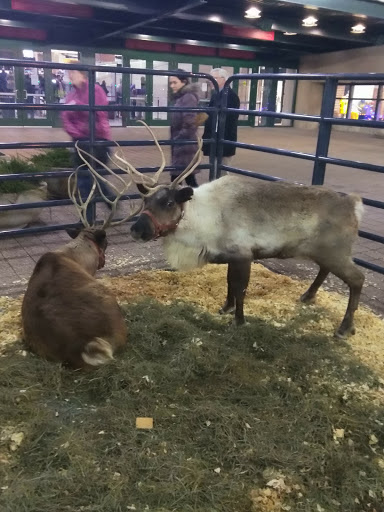 Arena «Bankers Life Fieldhouse», reviews and photos, 125 S Pennsylvania St, Indianapolis, IN 46204, USA