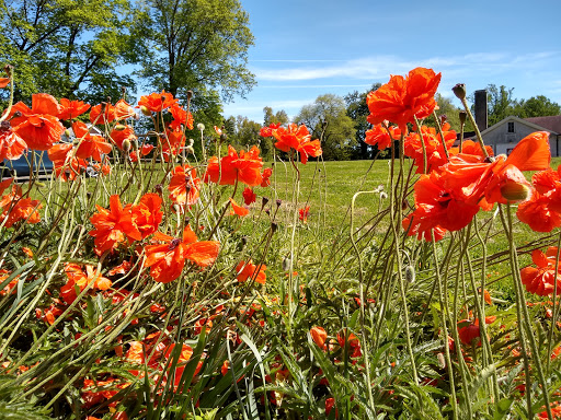 Park «Hart`s Brook Park and Preserve», reviews and photos, 156 Ridge Rd, Hartsdale, NY 10530, USA