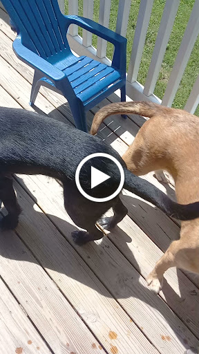 Night Club «Brickhouse Discotheque», reviews and photos, 901 Boyd St, Paducah, KY 42001, USA