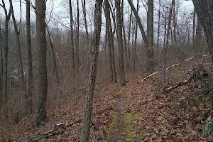 Tar Hollow State Park and Forest Logan Backpack Trail image