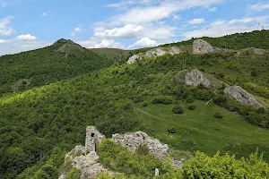Liteni Fortress image