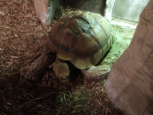 Aquarium «SeaQuest Interactive Aquarium», reviews and photos, 1201 N Hill Field Rd #1072, Layton, UT 84041, USA