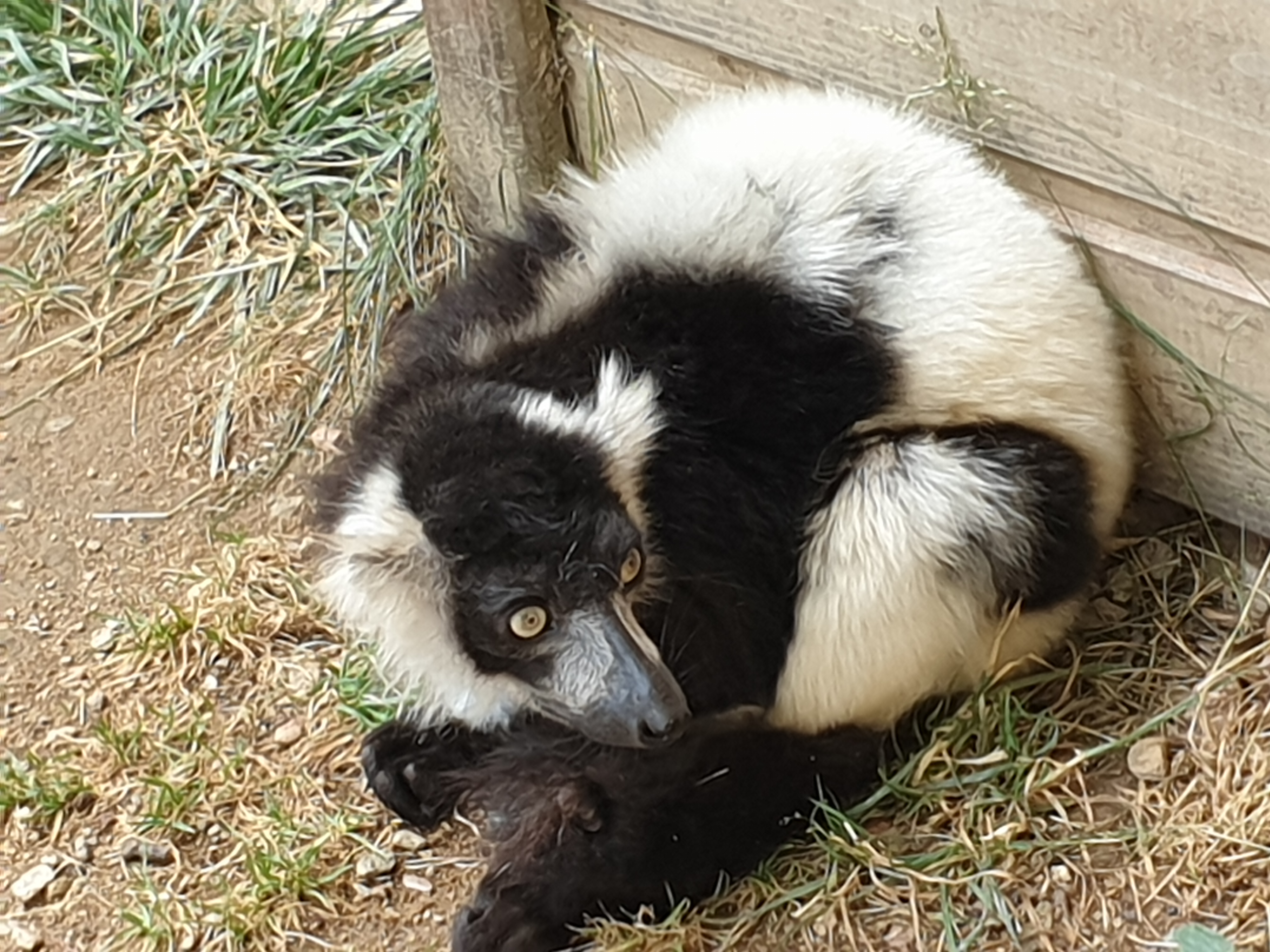 Photo n° 27 de l'avis de Katia.I fait le 03/08/2019 à 22:20