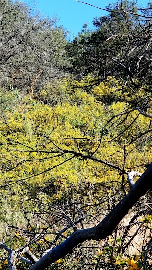 Triunfo Park - photo 40
