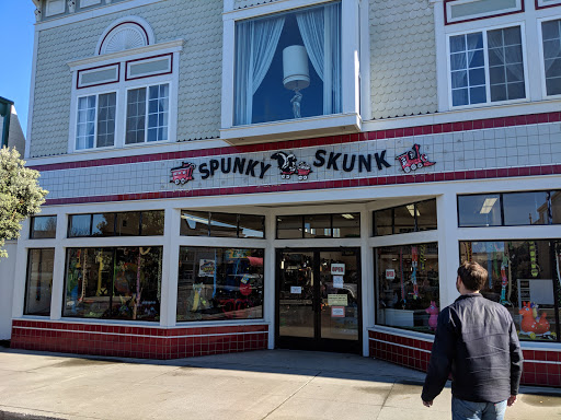 Toy Store «Spunky Skunk», reviews and photos, 344 N Franklin St, Fort Bragg, CA 95437, USA