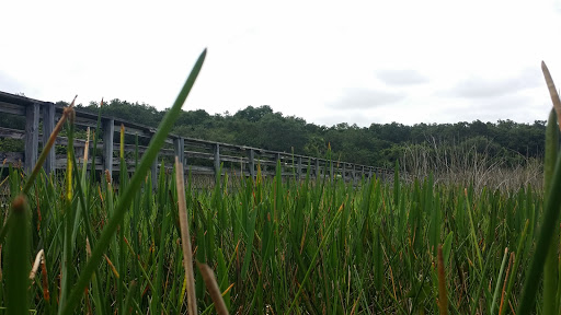 Park «Tree Tops Park», reviews and photos, 3900 SW 100th Ave, Davie, FL 33328, USA