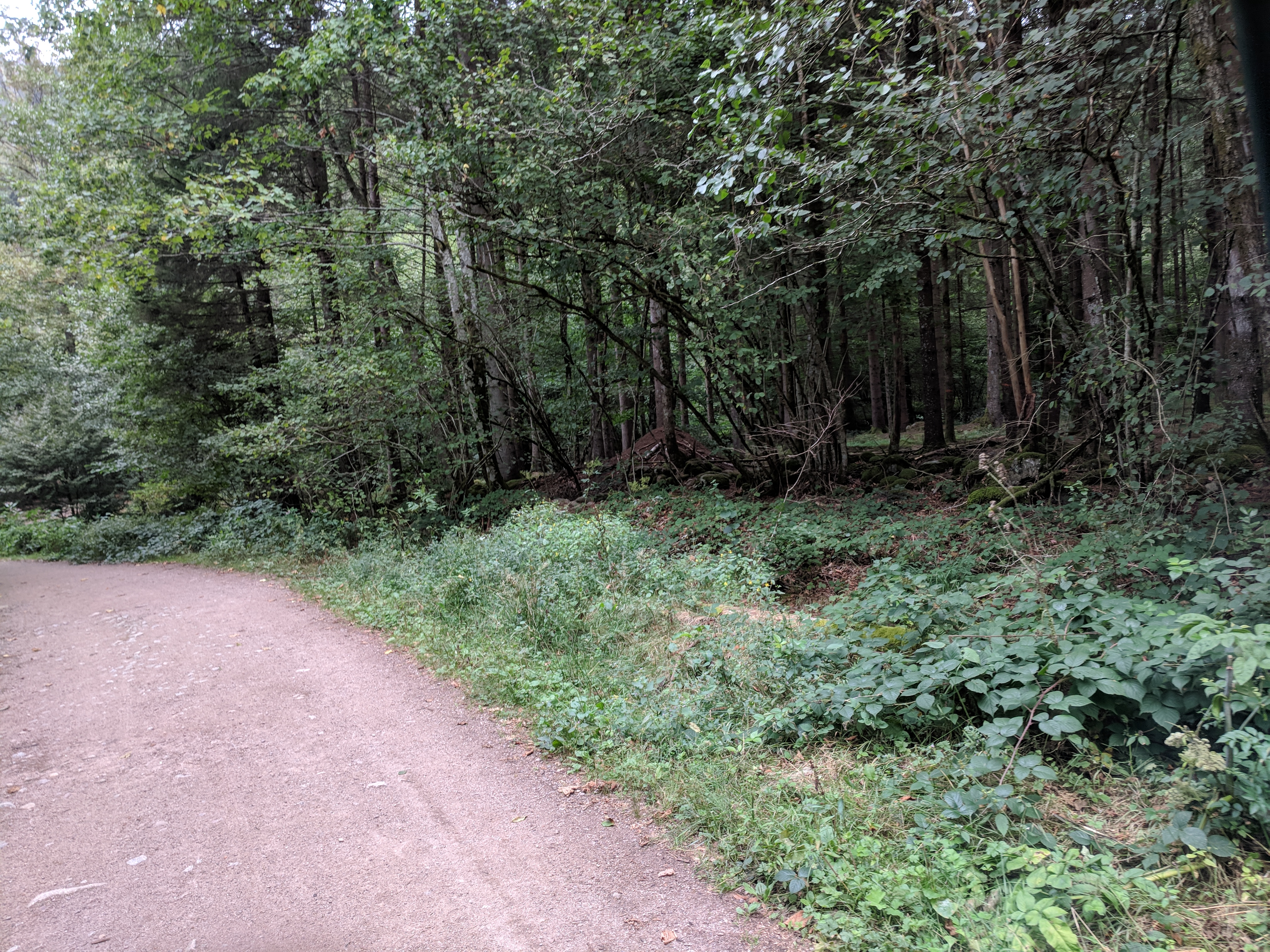 Photo n° 8 de l'avis de LAMBERT.r fait le 27/08/2018 à 11:58