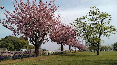 果樹園（あけぼの山農業公園）