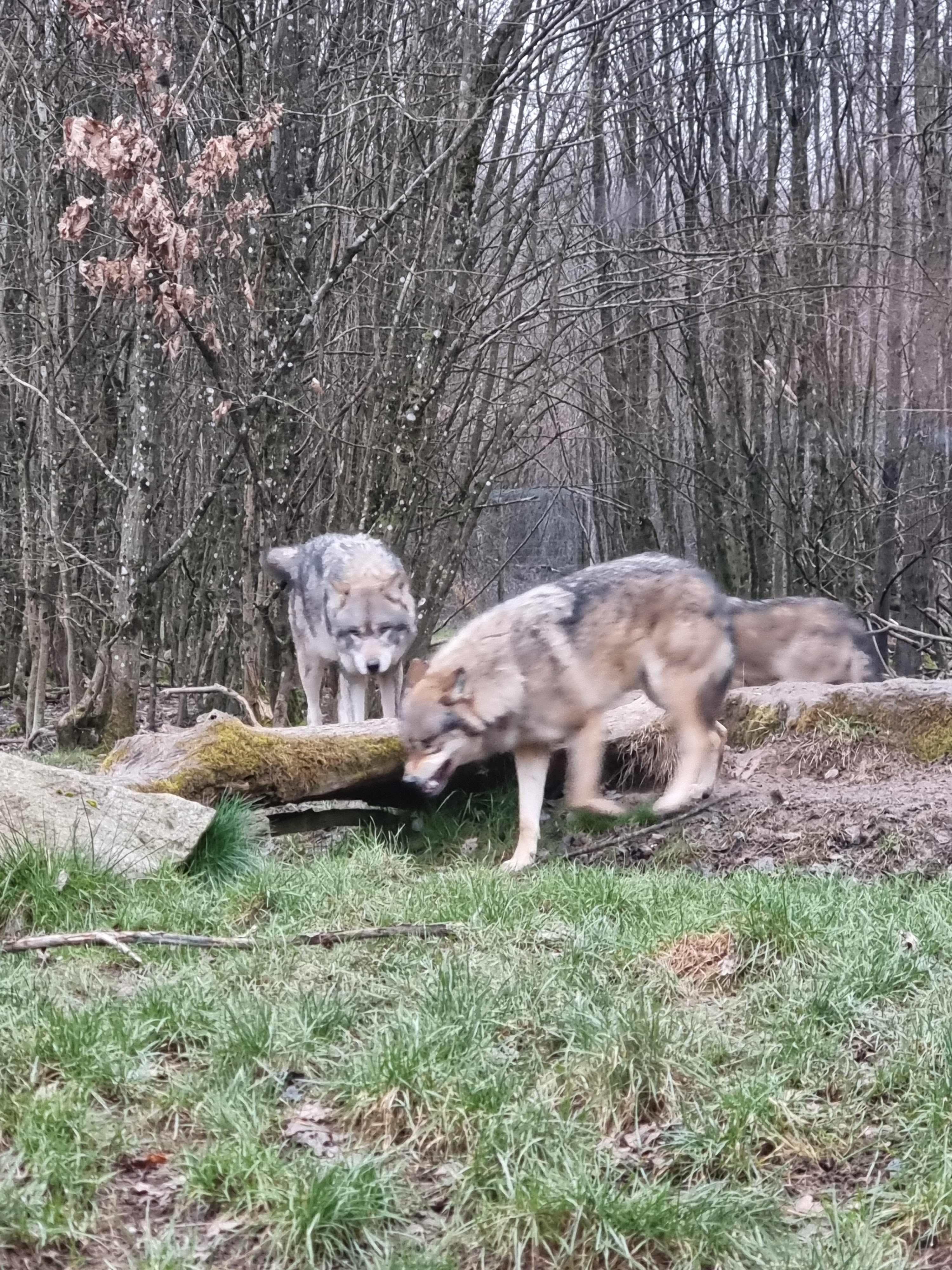 Photo n° 18 de l'avis de percque.a fait le 12/03/2023 à 16:11