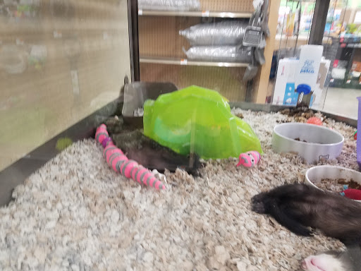 Pet Supply Store «Petco Animal Supplies», reviews and photos, 1215-1309 NJ-33 #1, Hamilton Township, NJ 08690, USA