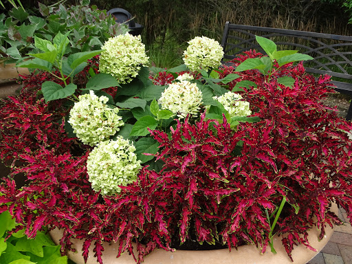 Park «Glenwood Gardens», reviews and photos, 10397 Springfield Pike, Cincinnati, OH 45215, USA