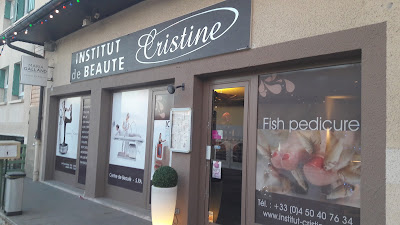 Institut CRISTINE à Ferney-Voltaire