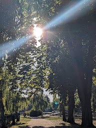 Photo n°18 de VIERZON à Vierzon ()