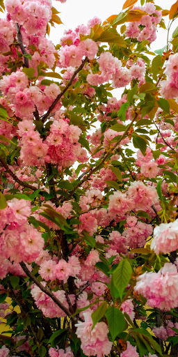 Grocery Store «Grocery Outlet Bargain Market», reviews and photos, 70 N West End Blvd, Quakertown, PA 18951, USA