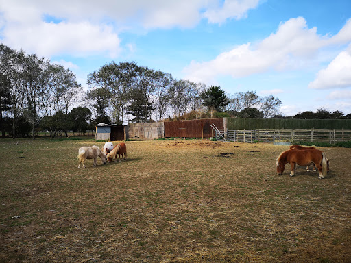 Hounslow Urban Farm