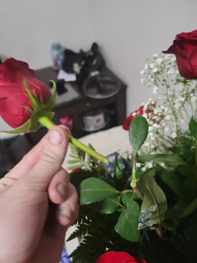 Florist «Flower Patch», reviews and photos, 4370 300 W, Salt Lake City, UT 84107, USA