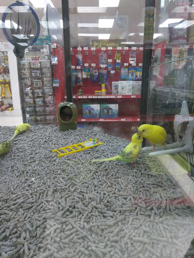 Pet Supply Store «Petco Animal Supplies», reviews and photos, 1919 El Camino Real, Mountain View, CA 94040, USA